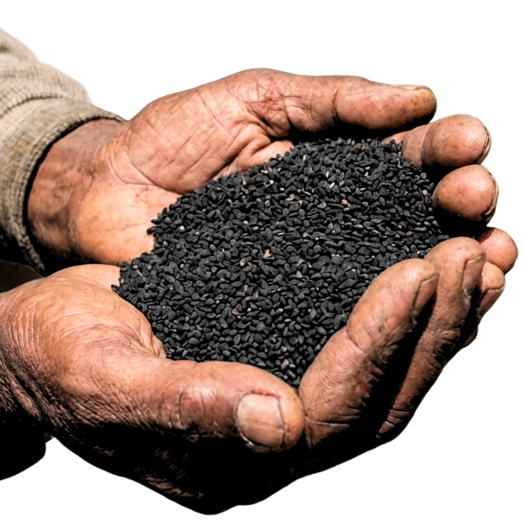 Eso supone hasta 5 veces más timoquinona que la que contienen la mayoría de los aceites de semilla negra comerciales.