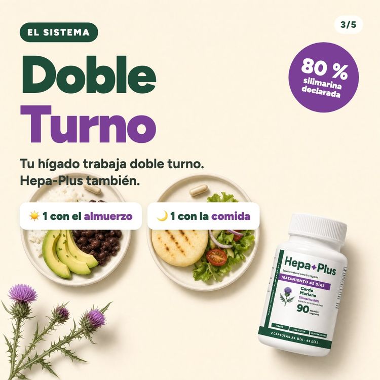 Sistema Doble Turno: una cápsula con el almuerzo y otra con la comida, silimarina al 80 % declarada
